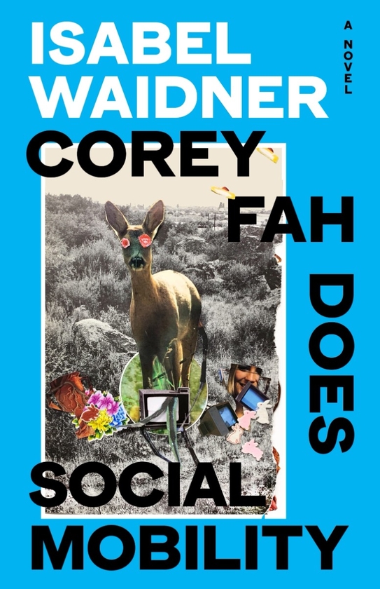 Бумажная книга «Corey Fah Does Social Mobility», автор Изабель Вайднер - фото №1