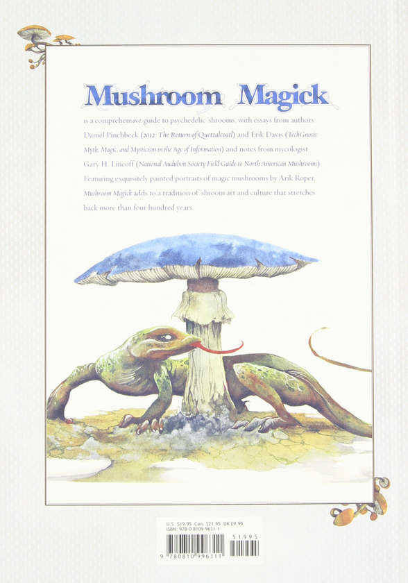 Паперова книга «Mushroom Magick», автор Деніел Пінчбек - фото №1