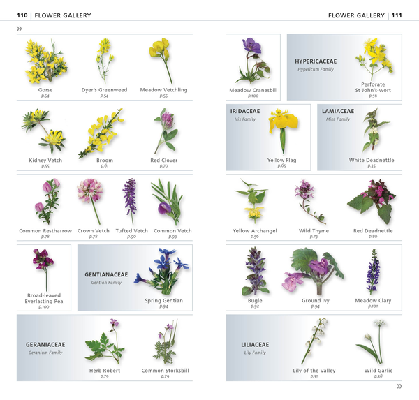 Паперова книга «What's that Flower? The Simplest ID Guide Ever» - фото №1