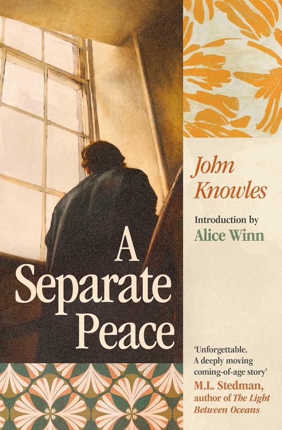 Паперова книга «A Separate Peace», автор Джон Ноулз - фото №1