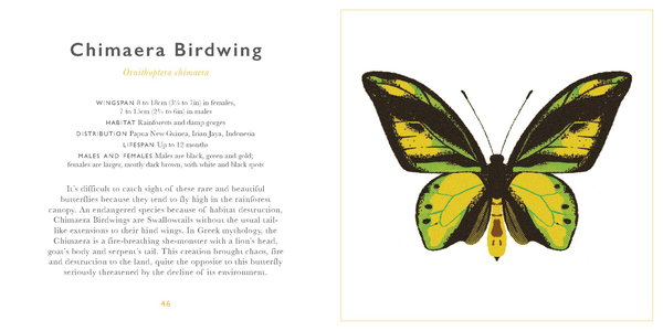 Бумажная книга «The Little Guide to Butterflies» - фото №1