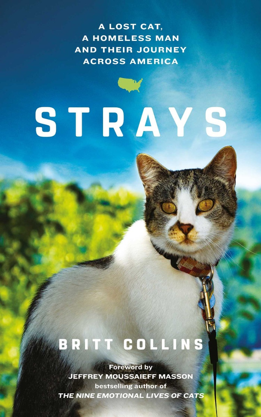 Бумажная книга «Strays. The True Story of a Lost Cat, a Homeless Man and Their Journey Across America», автор Бритт Коллинз - фото №1