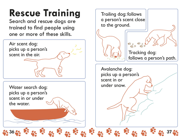 Паперова книга «Amazing Dogs. Tales of Daring Dogs!», автор Лора Буллер - фото №1
