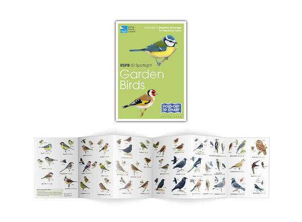 Бумажная книга «RSPB ID Spotlight. Garden Birds», автор Марианна Тейлор - фото №1