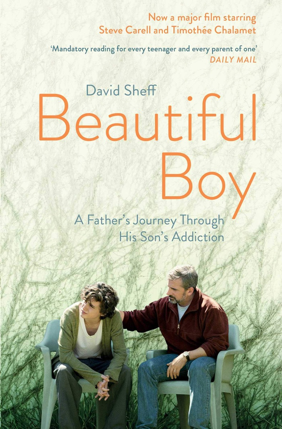 Паперова книга «Beautiful Boy», автор Девід Шефф - фото №1
