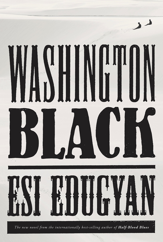 Бумажная книга «Washington Black», автор Эси Эдугян - фото №1