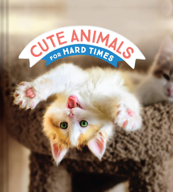 Бумажная книга «Cute Animals for Hard Times» - фото №1