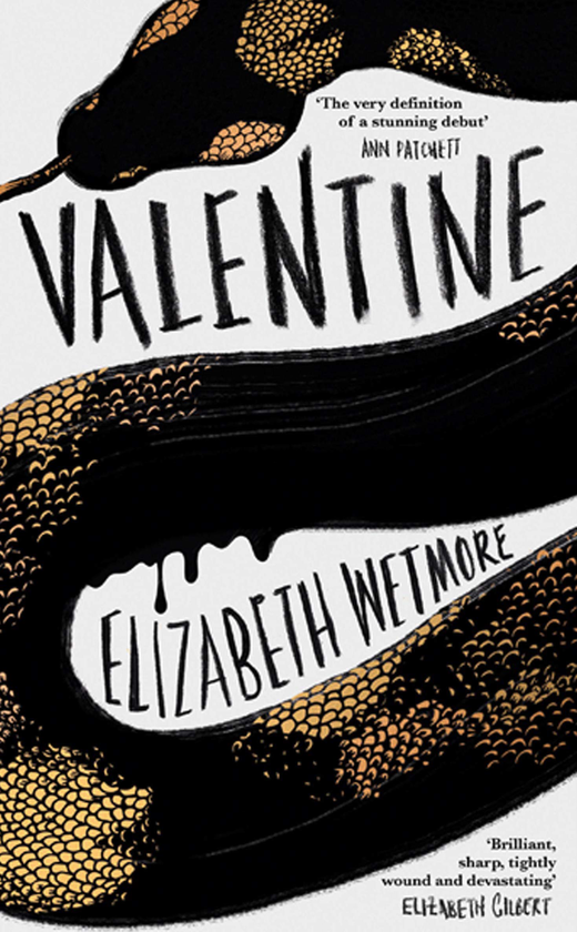 Паперова книга «Valentine», автор Елізабет Ветмор - фото №1