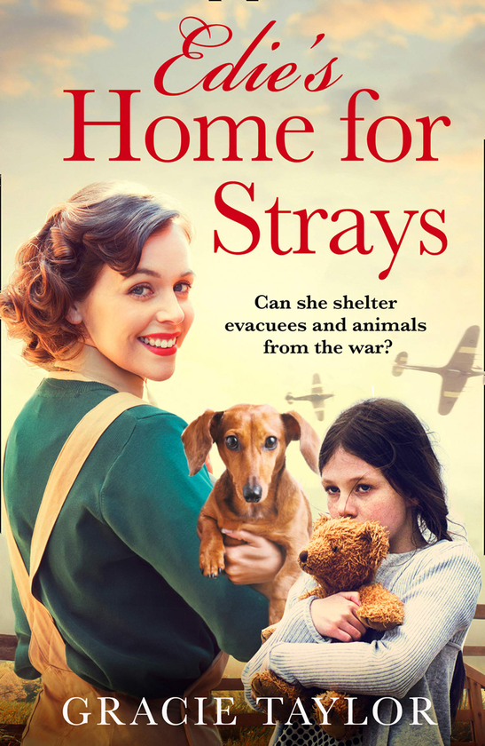 Бумажная книга «Edie's Home for Strays», автор Грейси Тейлор - фото №1