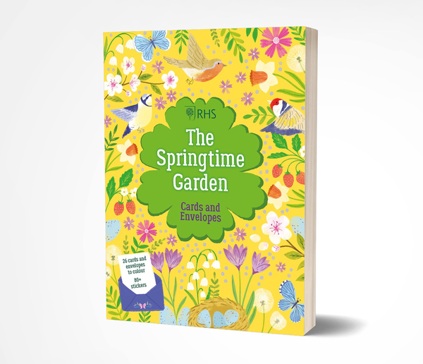 Бумажная книга «The Springtime Garden Cards and Envelopes», автор Таяба Хан - фото №1