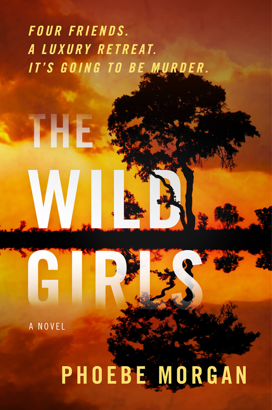 Бумажная книга «The Wild Girls», автор Фиби Морган - фото №1