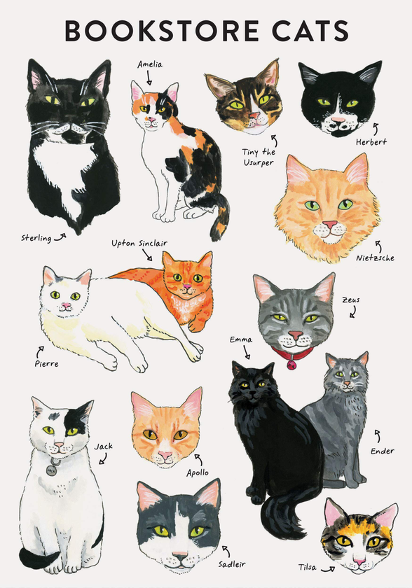 Бумажная книга «Bibliophile Flexi Journal: Bookstore Cats» - фото №1