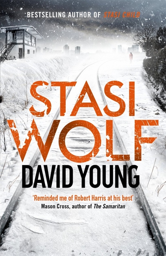 Бумажная книга «Stasi Wolf», автор Дэвид Янг - фото №1