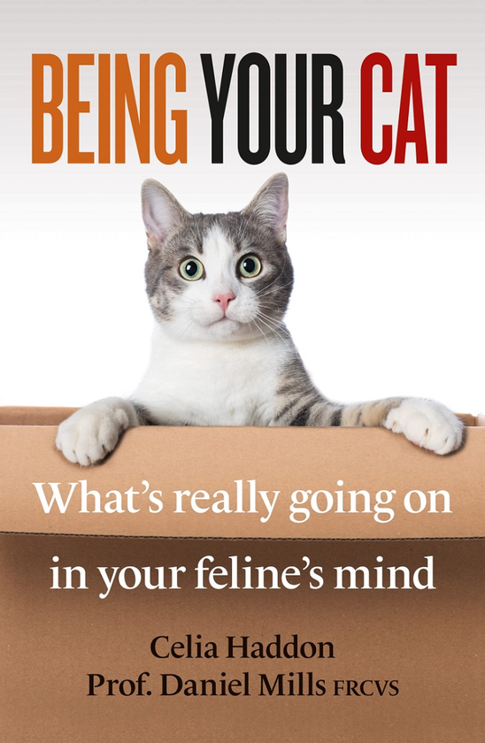 Паперова книга «Being Your Cat», авторів Селія Хеддон, Деніел Міллс - фото №1