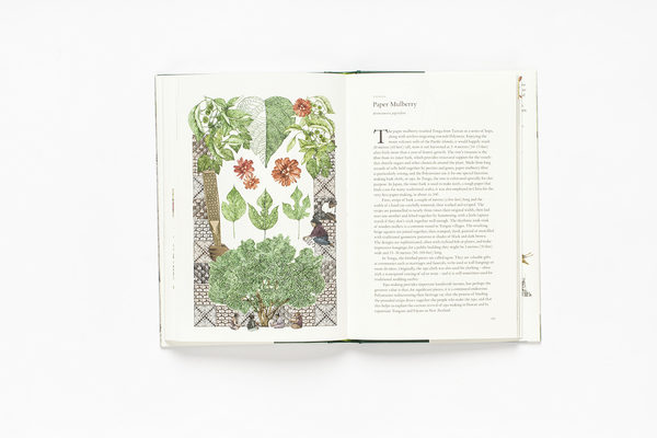 Бумажная книга «Around the World in 80 Trees», автор Джонатан Дрори - фото №1
