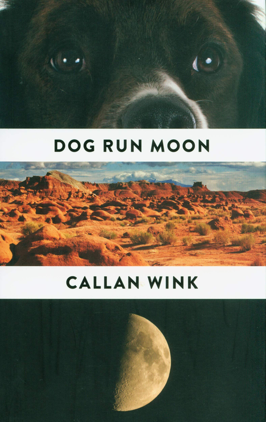 Паперова книга «Dog Run Moon : Stories», автор Каллан Вінк - фото №1