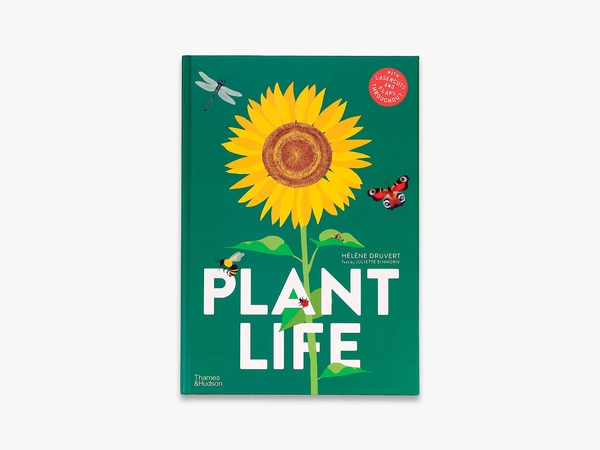 Паперова книга «Plant Life», авторів Елен Друвер, Джульєтта Айнхорн - фото №1