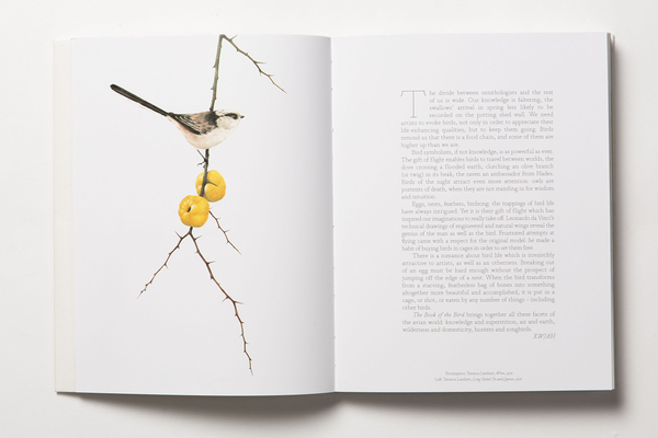 Бумажная книга «The Book of the Bird», авторов Кендра Уилсон, Ангус Хайленд - фото №1