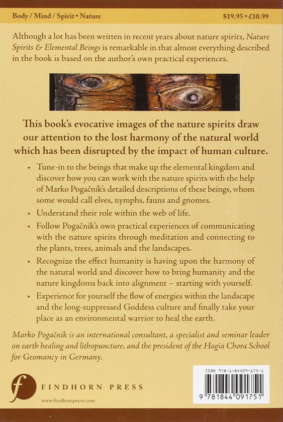 Бумажная книга « Nature Spirits & Elemental Beings: Working with the Intelligence in Nature», автор Марко Погакник - фото №1