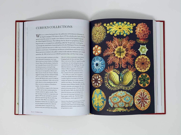 Бумажная книга «The Madman's Library. The Greatest Curiosities of Literature», автор Эдвард Брук-Хитчинг - фото №1