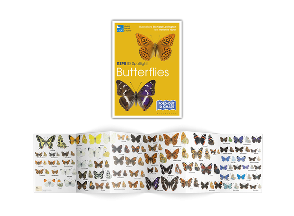 Бумажная книга «RSPB ID Spotlight - Butterflies», автор Марианна Тейлор - фото №1