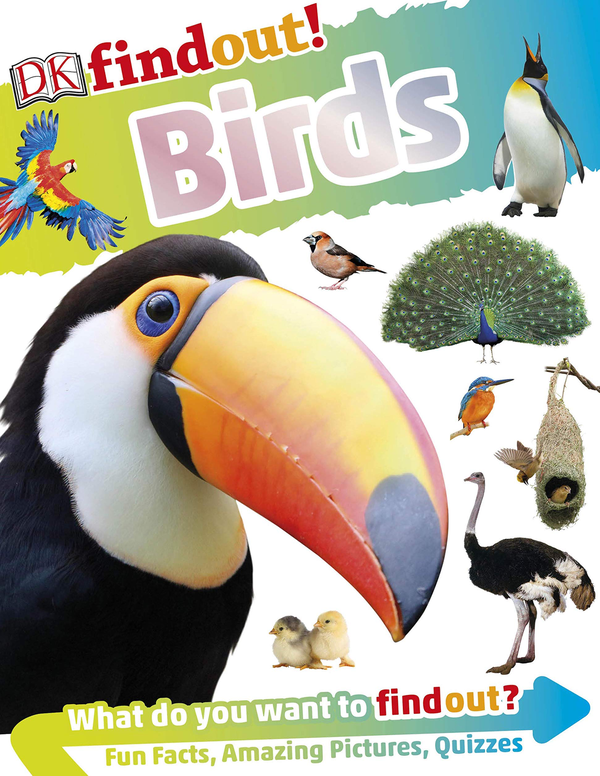 Бумажная книга «DKfindout! Birds» - фото №1
