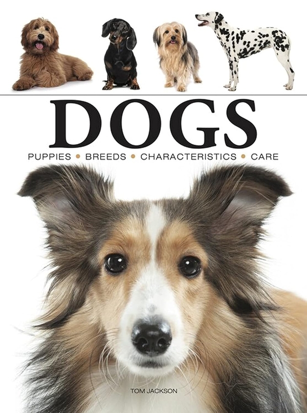Бумажная книга «Dogs», автор Том Джексон - фото №1