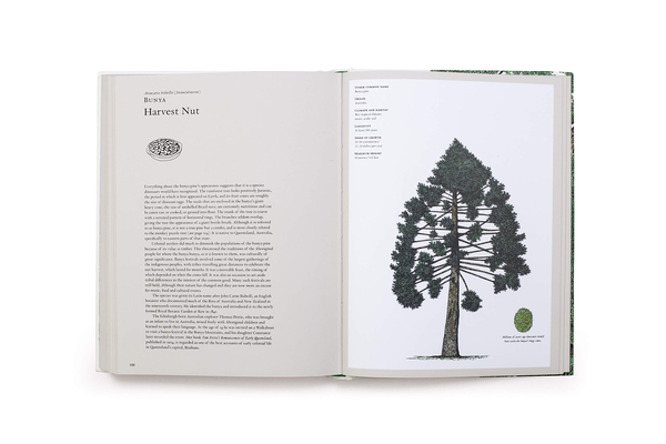 Бумажная книга «Story of Trees. And How They Changed the Way We Live», авторов Дэвид Уэст, Кевин Хоббс - фото №1