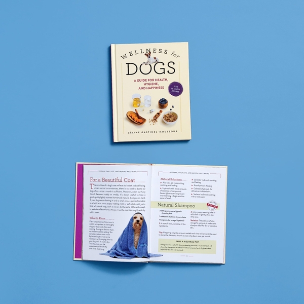 Бумажная книга «Wellness for Dogs», автор Селин Гастинель-Муссур - фото №1