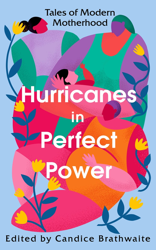 Бумажная книга «Hurricanes in Perfect Power» - фото №1