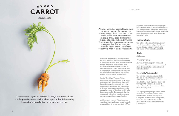 Паперова книга «Root to Bloom», авторів Мат Пембер, Джоселін Кросс - фото №1