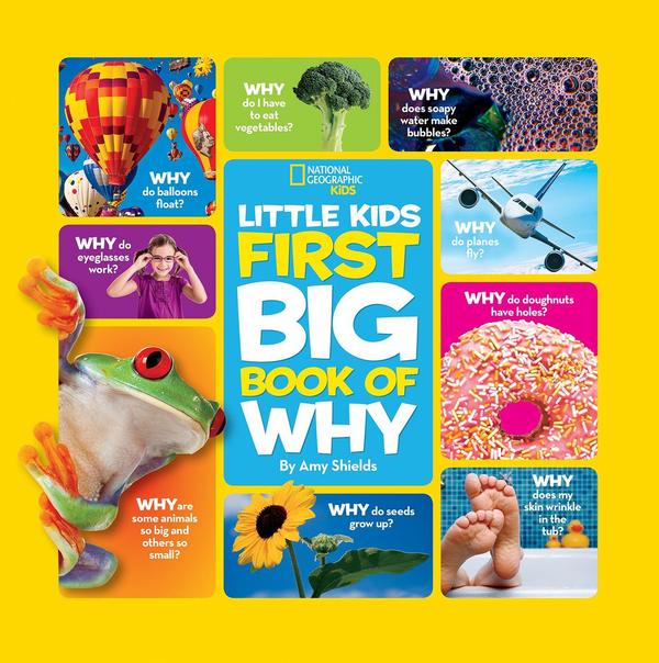 Паперова книга «Little Kids First Big Book of Why», автор Емі Шилдс - фото №1