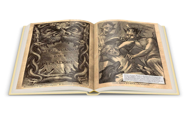 Бумажная книга «The Madman's Library. The Greatest Curiosities of Literature», автор Эдвард Брук-Хитчинг - фото №1