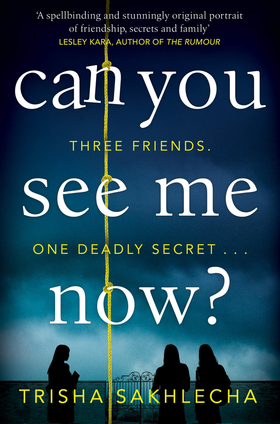Бумажная книга «Can You See Me Now?», автор Триша Сахлеча - фото №1