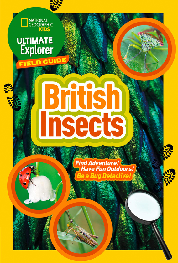 [object Object] «Ultimate Explorer Field Guides — British Insects», автор National Geographic Kids - фото №2 - миниатюра