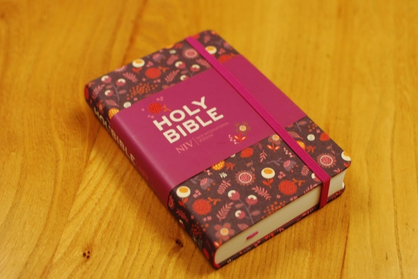 Бумажная книга « The Holy Bible New. Floral» - фото №1