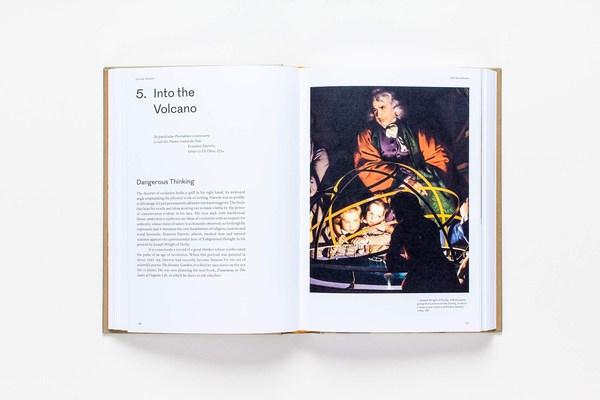 Бумажная книга «Sensations. The Story of British Art from Hogarth to Banksy», автор Джонатан Джонс - фото №1