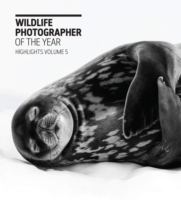 Бумажная книга «Wildlife Photographer of the Year. Highlights Volume 5», автор Розамунд Кидман Кокс - фото №1