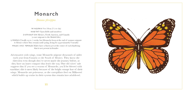 Бумажная книга «The Little Guide to Butterflies» - фото №1