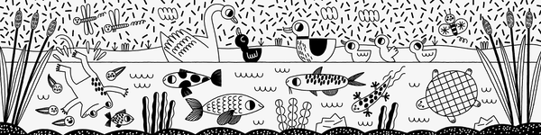 Паперова книга «Pond Pals. A Magic Bath Book» - фото №1