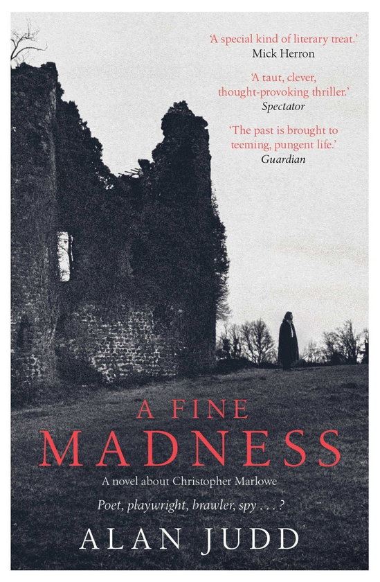 Паперова книга «A Fine Madness », автор Алан Джадд - фото №1