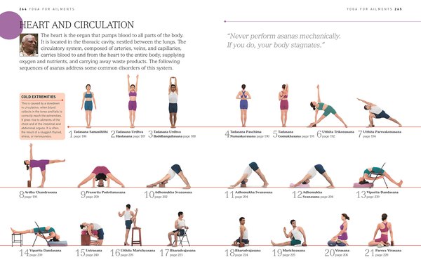 Бумажная книга «BKS Iyengar Yoga The Path to Holistic Health», автор Б. К. С. Айенгар - фото №1