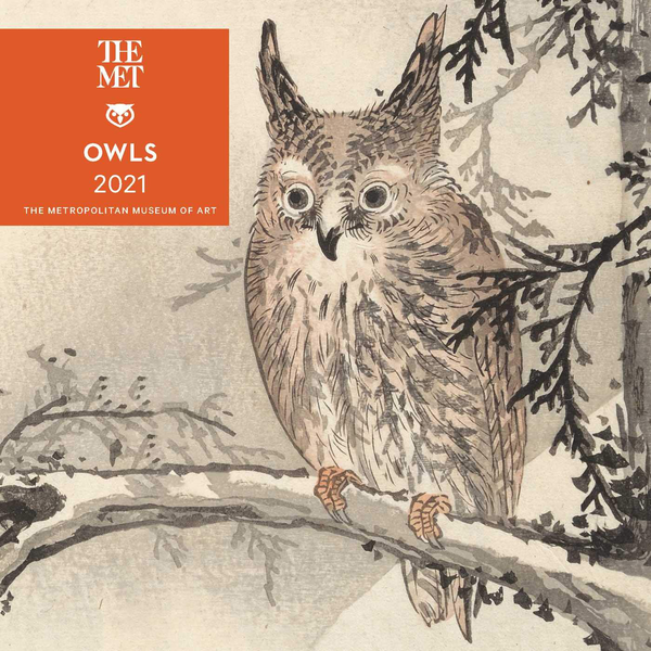Бумажная книга «Owls 2021 Mini Wall Calendar» - фото №1