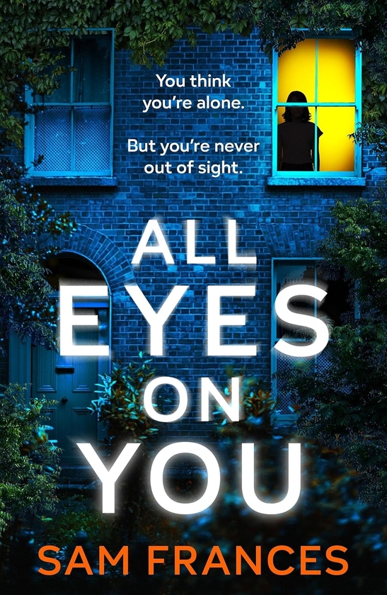 Паперова книга «All Eyes on You», автор Сем Френсіс - фото №1