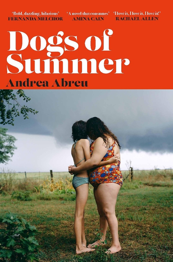 Бумажная книга «Dogs of Summer», автор Андреа Абреу - фото №1