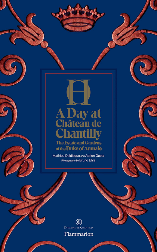 Бумажная книга «A Day at Chteau de Chantilly», авторов Адриен Гётц, Матье Дельдик - фото №1