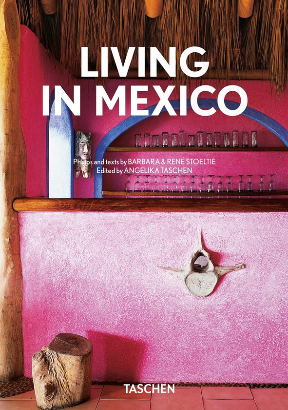 Паперова книга «Living in Mexico», авторів Барбара Стуелті, Рене Стуелті - фото №1