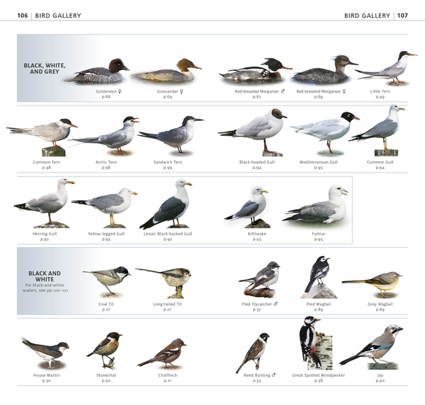 Паперова книга «RSPB What's that Bird? The Simplest ID Guide Ever» - фото №1