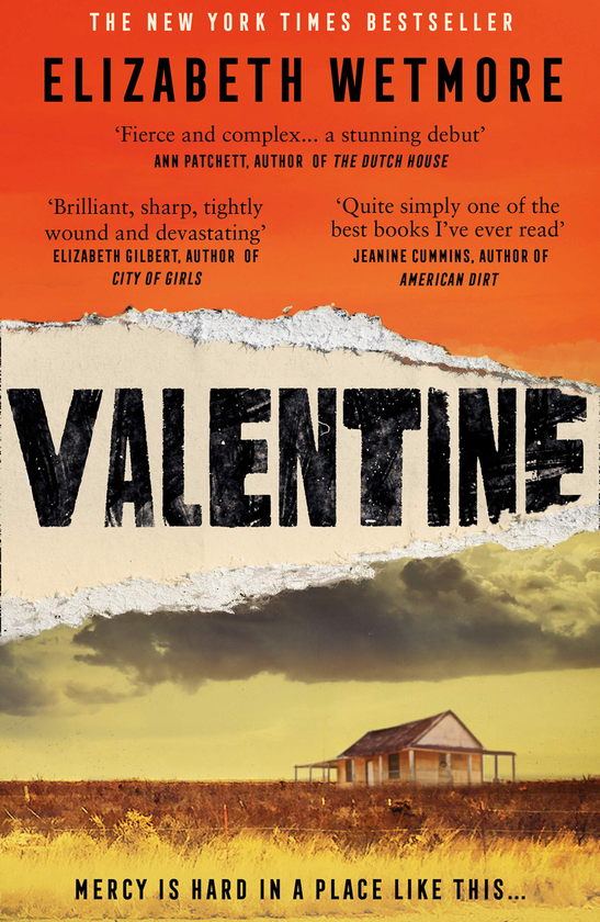 Паперова книга «Valentine», автор Елізабет Ветмор - фото №1
