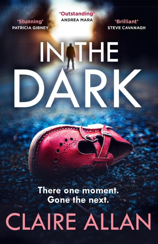 Паперова книга «In The Dark», автор Клер Аллан - фото №1